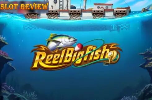 Reel Big Fish icon